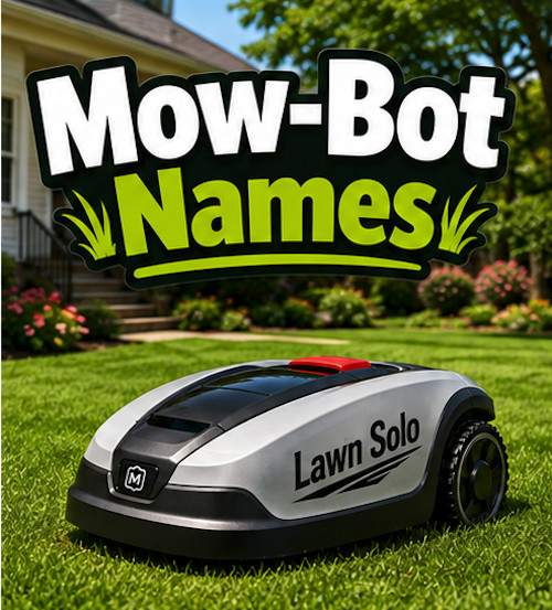 Lawn Solo.png

