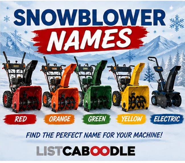 Snowblower names by color.